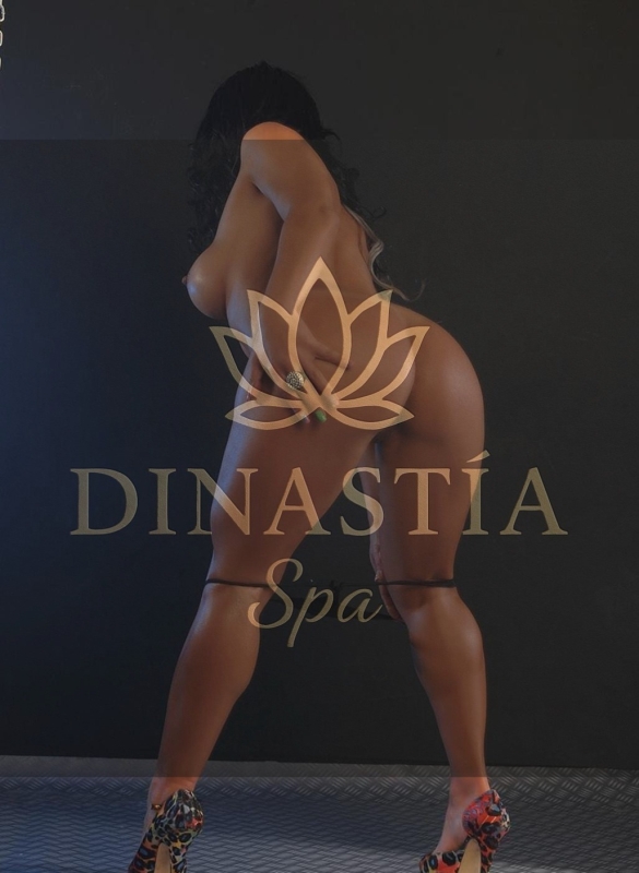 Dinastia spa