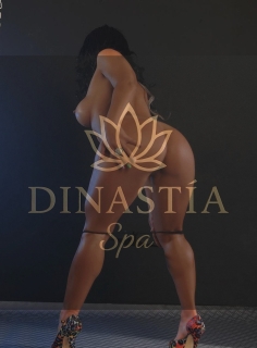 Dinastia spa 