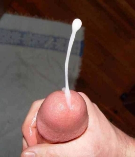 Leite quente para ti