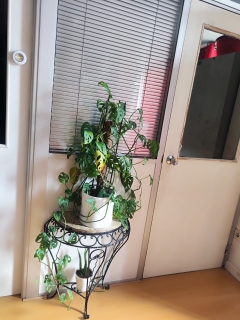 ALUGA-SE GABINETE E/OU QUARTO C/DUCHE 120€ 