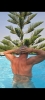 Profile Thumbnail