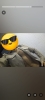 Miniatura do perfil